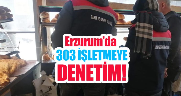 Erzurum’da 303 işletmeye denetim!