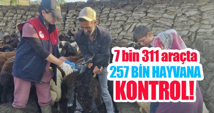 7 bin 311 araçta 257 bin hayvana kontrol!