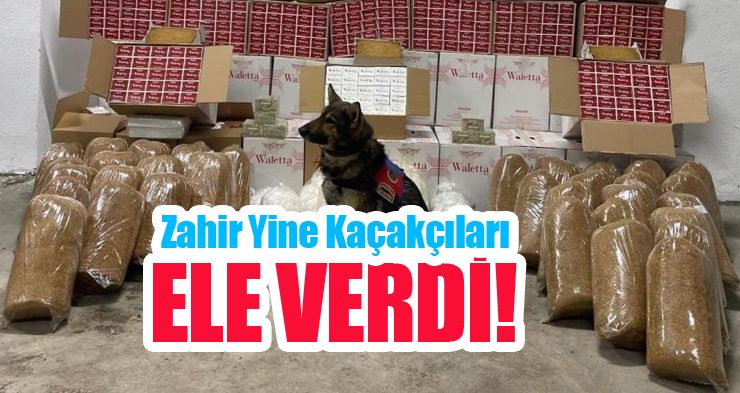 Zahir yine kaçakçıları ele verdi!