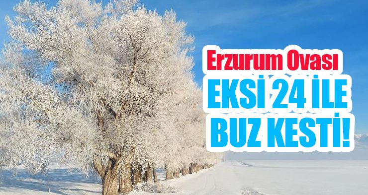 Erzurum Ovası eksi 24 ile buz kesti!