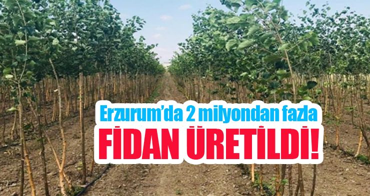 Erzurum’da 2 milyondan fazla fidan üretildi!