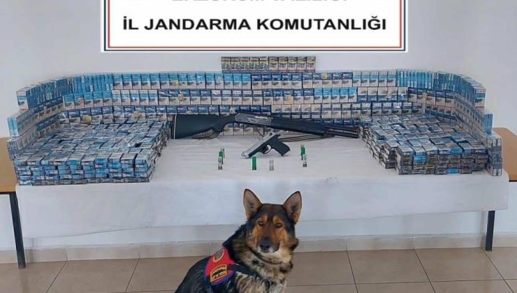 Jandarmadan kaçak sigara operasyonu!