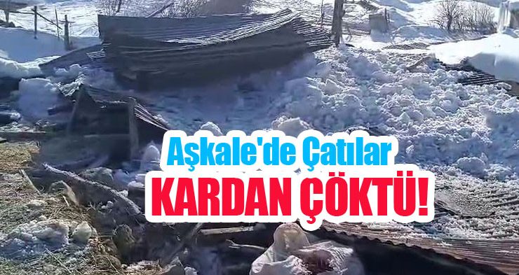 Aşkale’de çatılar kardan çöktü!