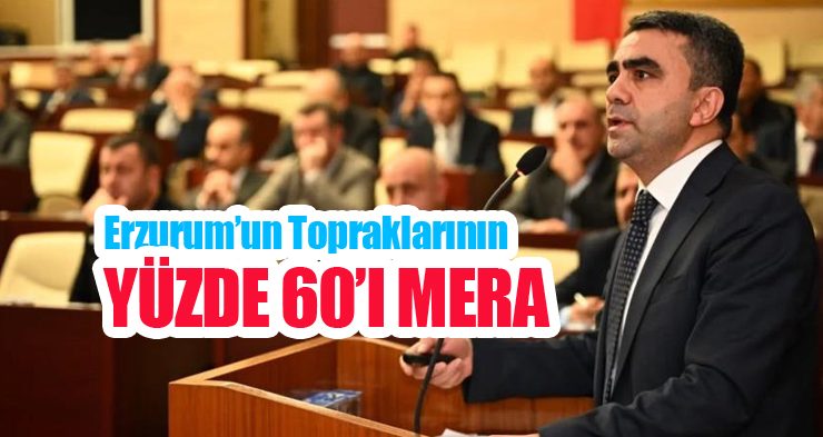 Erzurum’un topraklarının yüzde 60’ı mera!
