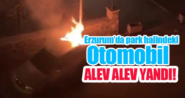 Park halindeki otomobil alev alev yandı!