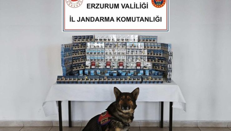 Jandarmadan kaçakçılara geçit yok!