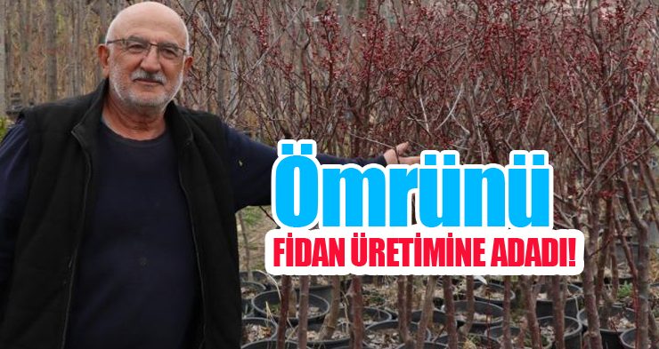 Ömrünü fidan üretimine adadı!