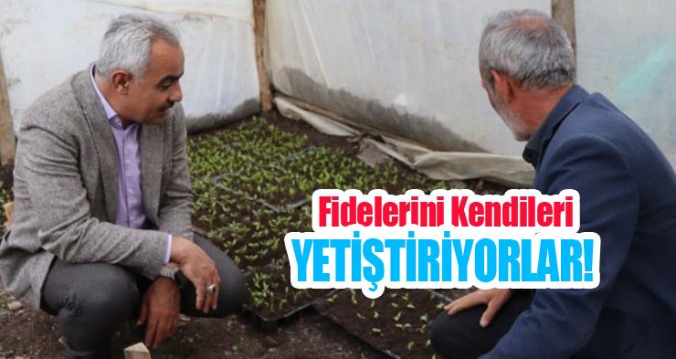 Fidelerini kendileri yetiştiriyorlar!