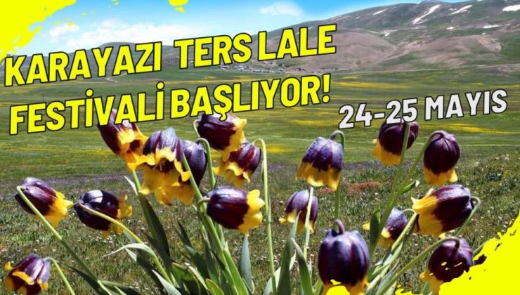 Karayazı ters lale festivali başlıyor!