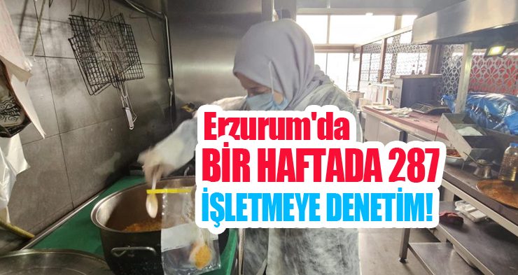 Bir haftada 287 işletmeye denetim!