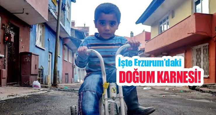 İşte Erzurum’daki doğum karnesi!