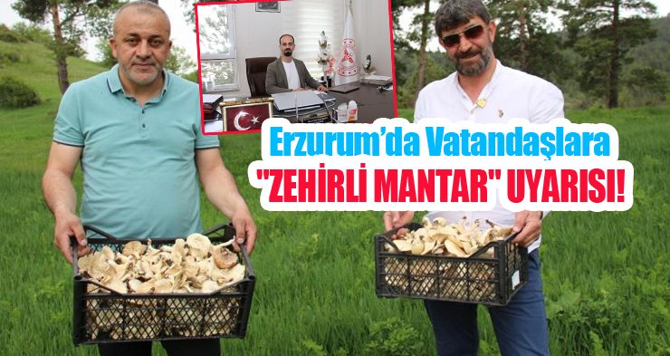 Erzurum’da vatandaşlara “zehirli mantar” uyarısı!