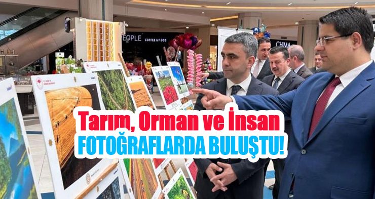 Tarım, orman ve insan fotoğraflarda buluştu!