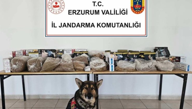 Jandarmadan kaçak tütün operasyonu!