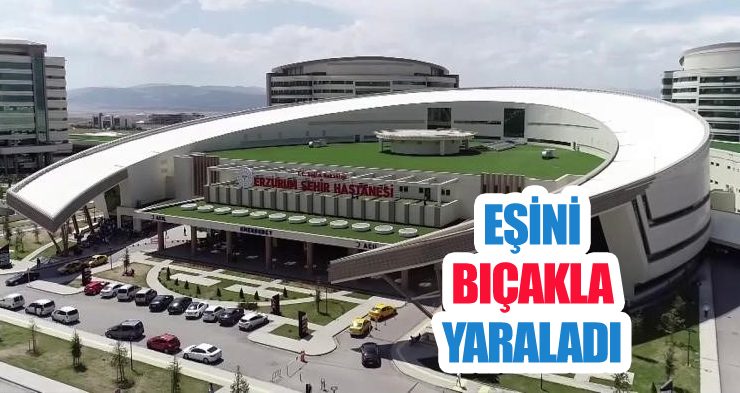 Eşini bıçakla yaraladı