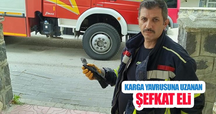 Karga yavrusuna uzanan şefkat eli