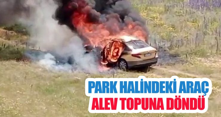 Park halindeki araç alev topuna döndü
