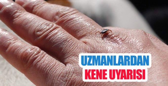 Uzmanlardan kene uyarısı