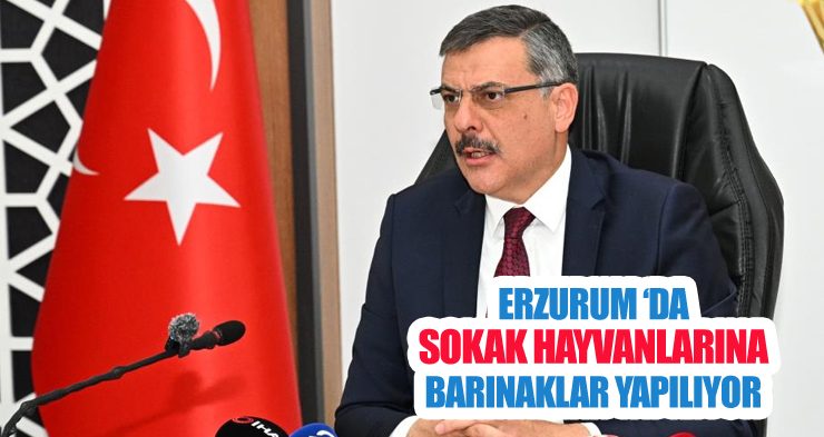Erzurum ‘da sokak hayvanlarına barınaklar yapılıyor