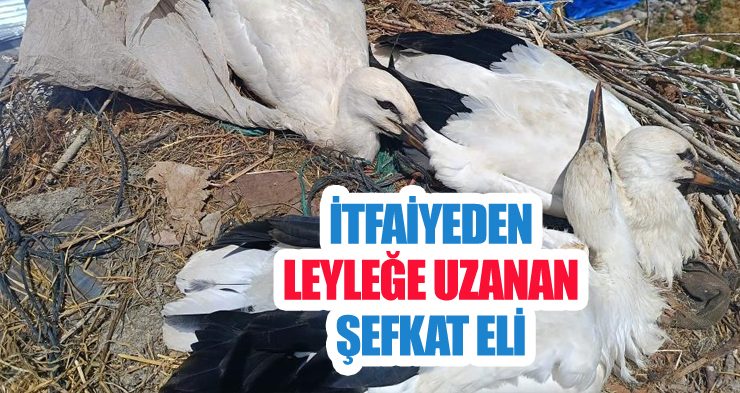 İtfaiyeden leyleğe uzanan şefkat eli