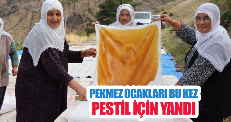 Pekmez ocakları bu kez pestil için yandı