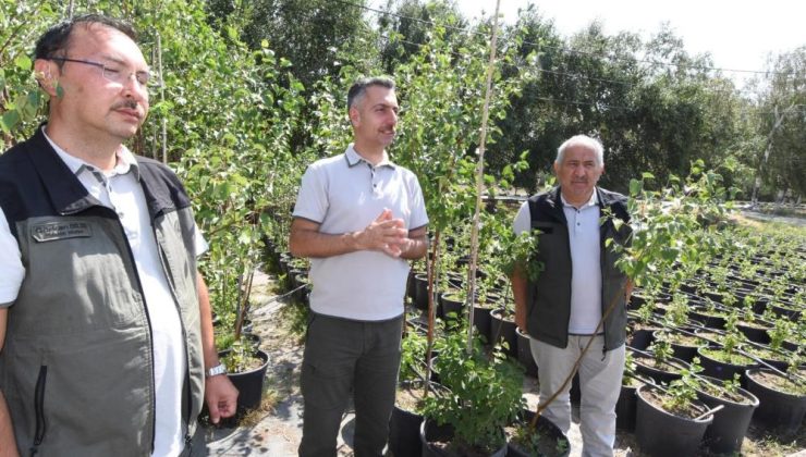 Erzurum Orman Bölge Müdürü Karakurt: “Bölgede yıl sonuna kadar 908 bin fidan toprakla buluşturulacak”