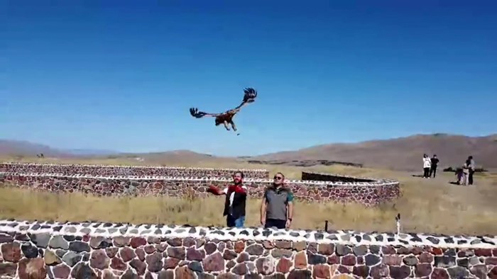Kızıl Şahin doğal yaşamına bırakıldı!