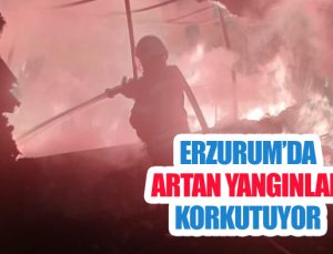 Erzurum’da artan yangınlar korkutuyor
