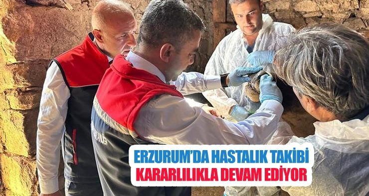 Erzurum’da hastalık takibi kararlılıkla devam ediyor