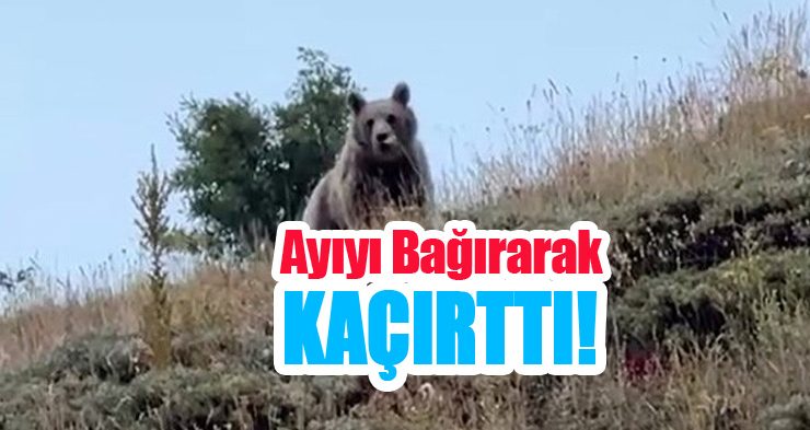 Ayıyı bağırarak kaçırttı!..