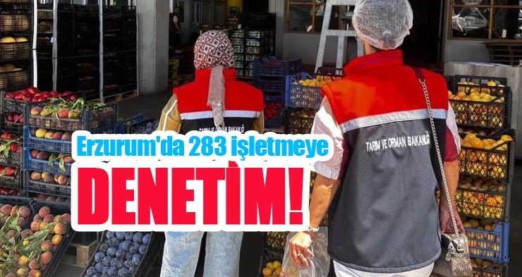 Erzurum’da 283 işletmeye denetim!