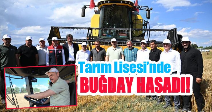 Tarım Lisesi’nde buğday hasadı..