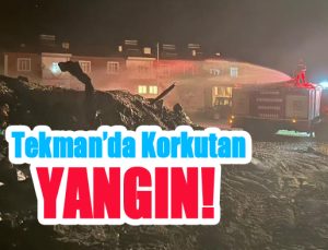 Tekman’da korkutan yangın!