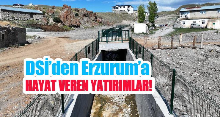 DSİ’den Erzurum’a hayat veren yatırımlar: Taşkınlara karşı güvence…