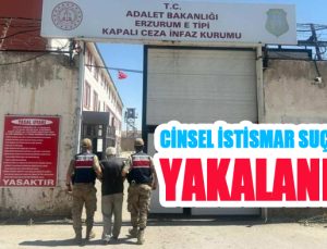 Cinsel istismar suçlusu yakalandı!