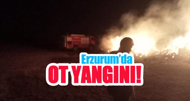 Erzurum’un Aşkale ilçesine bağlı Turaç köyünde ot yangını!..