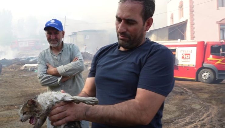 Alevlerin içinde kurtardığı kediye adeta can suyu verdi..