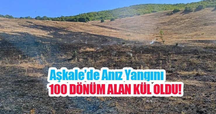 Aşkale Güneyçam Köyü’nde anız yangını: 100 dönüm alan kül oldu!
