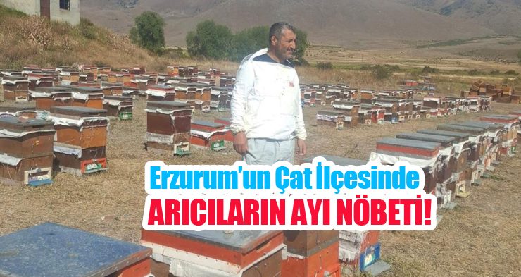  Erzurum’un Çat ilçesinde arıcıların ayı nöbeti!