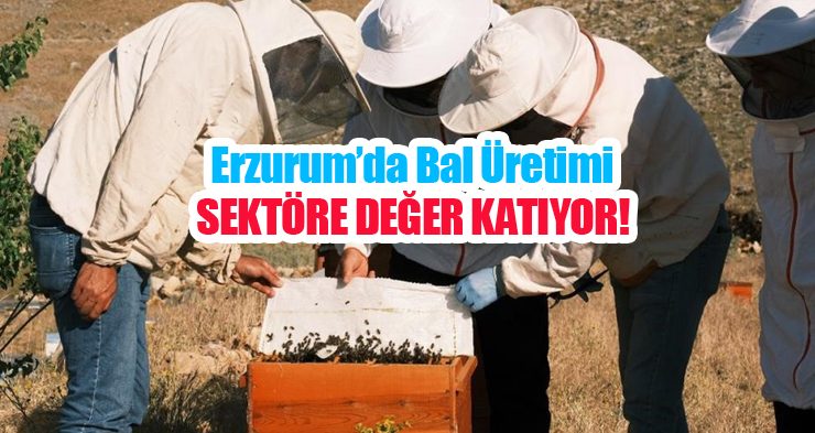 Erzurum’da bal üretimi sektöre değer katıyor!