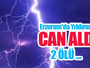 Erzurum’da yıldırım can aldı..