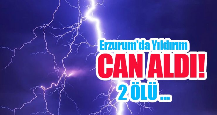 Erzurum’da yıldırım can aldı..