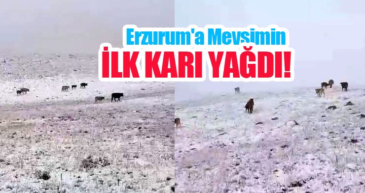 Erzurum’a mevsimin ilk karı yağdı!