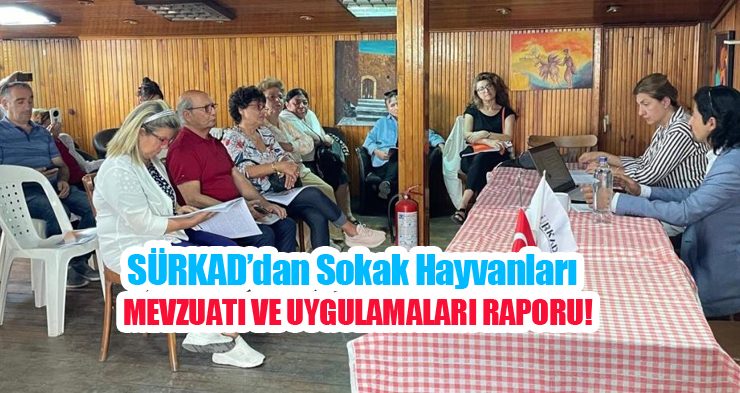 SÜRKAD’dan sokak hayvanları mevzuatı ve uygulamaları raporu…