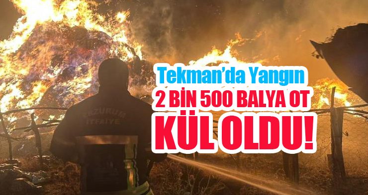 Tekman’da yangın; 2 bin 500 balya ot kül oldu!