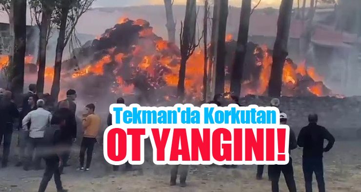 Tekman’da korkutan ot yangını!
