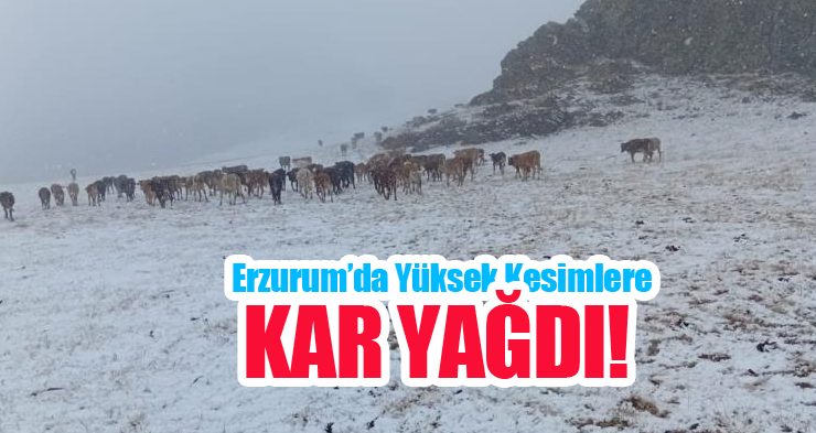 Erzurum’da yüksek kesimlere kar yağdı!