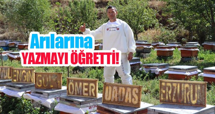 Arılarına yazmayı öğretti!