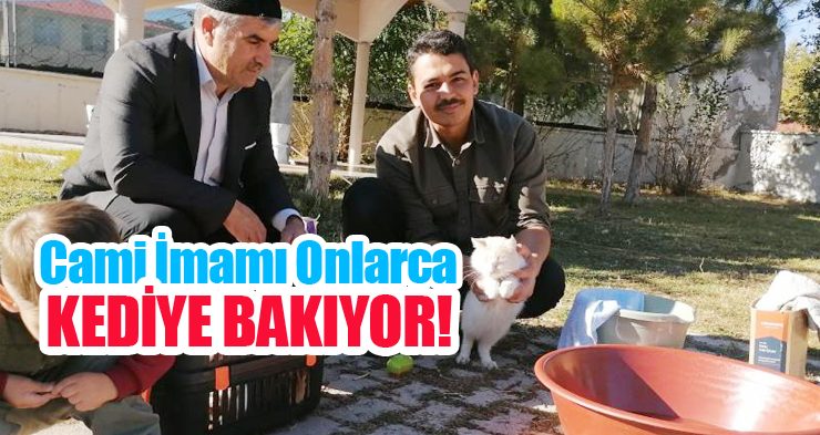 Cami imamı onlarca kediye bakıyor!…