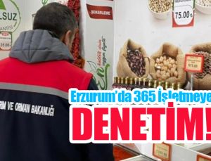 Erzurum’da 365 işletmeye denetim…